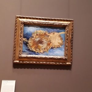 Meet your Posher, Tamar